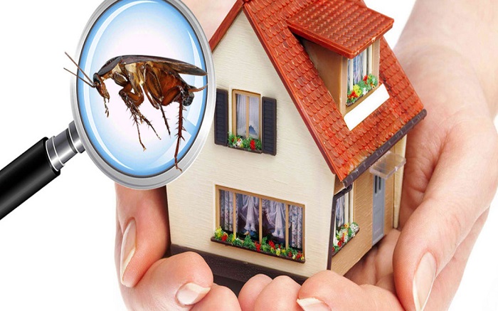 24 Hour Termite & Pest Control for Pest Control in Knoxville, AL